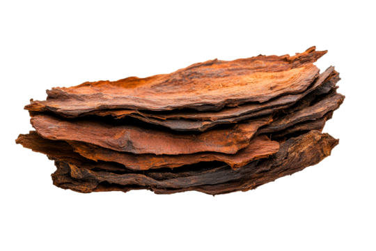 Stacked Bark Layers with Rich Texture and Detail, cut out transparent