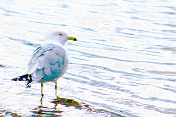 Seagull Peacefully Stands & Looks Onward in Ripples of Silver, White Looking water at the shoreline on A Cold Day (filtered photo) with Texture
