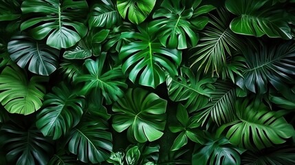 Lush greenery creates a stunning nature backdrop for landscaping.