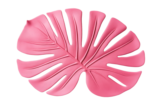 Monstera Deliciosa Leaf Casting, Pink, Isolated, Cut out transparent
