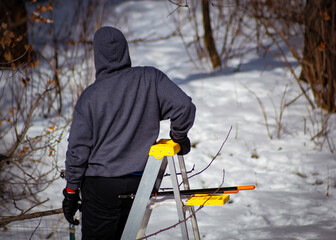 a man on a ladder with his back to the camera looking at trees in winter. a pair of tree loppers...