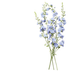 Obraz premium A bouquet of blue flowers is displayed on a white background. The flowers are arranged in a way that they are all facing the same direction, creating a sense of harmony and balance