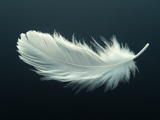 Obraz premium A single white feather floating in the air against a black background, simple and minimalistic, with a sense of space, captured using a camera and an EF lens, HD
