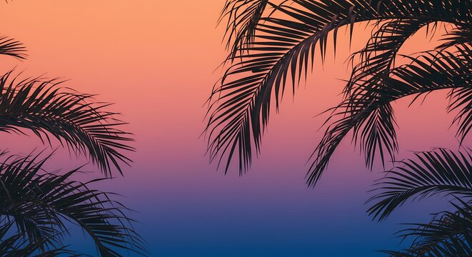 Silhouetted Palm Leaves at Vibrant Sunset Tropical Sky Gradient Low Angle