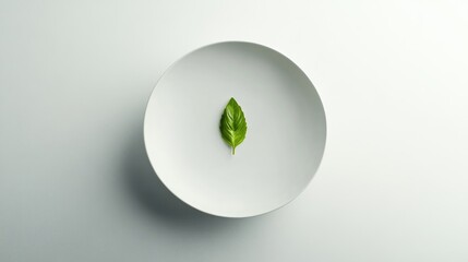 Single basil leaf on white plate, minimalist aesthetic