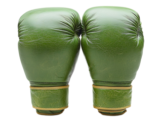 Pair of stylish green leather boxing gloves, ready for a fight or a statement.  A powerful metaphor for competition, strength, and determination. Ideal for sports, fitness, and motivational concepts.