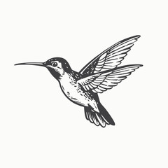 Fototapeta premium Hummingbird silhouette vector. black Hummingbird hate logo in a white background