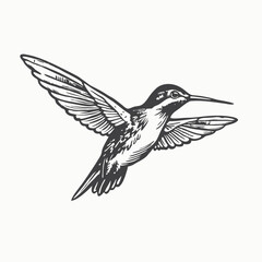 Fototapeta premium Flying Hummingbird silhouette isolated on white background. Hummingbird shadow. Vector illustration