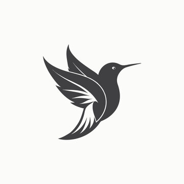 Flying Hummingbird silhouette isolated on white background. Hummingbird shadow. Vector illustration