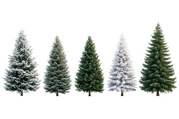 Five Christmas Trees on Black, Snowy and Green, cut out transparent