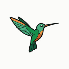 Hummingbird bird flying ,hand drawn sketch in doodle style .Vintage engraving isolated hummingbird set illustration ink humming Sketch vintage vector illustration