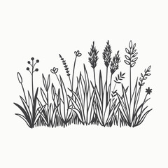 Real grass silhouette vector. Sketch weeds, herbal, flowers and cereals. Trend elements design. Sketch Hand drawn single line art use for logo poster