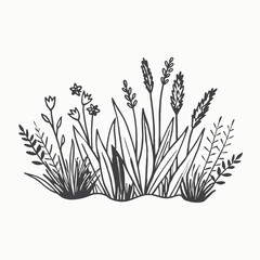 hand drawn grass collection in doodle style. flowers, field grass, decorative dividers, design elements Isolated vector illustration