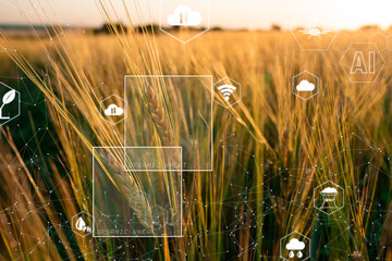 Smart farm field with AI control, Smart technology and Agriculture futuristic industry with AI...