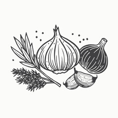 Hand drawn set of garlic with rosemary. Seven isolated vector illustrations with fill and outline. vector illustration isolated on white background