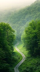 Winding Forest Road for Misty Mountains.