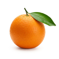 orange on transparent background png