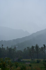 A tropical rainstorm in a rice field with cascading mountains and palm trees.