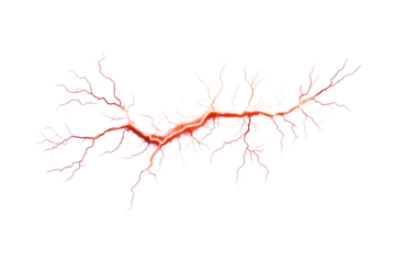 Red vein branches, pattern, isolated, damage, cracks design, cut out transparent
