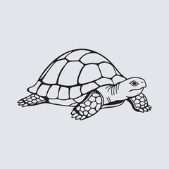 Turtle vector art Illustration file