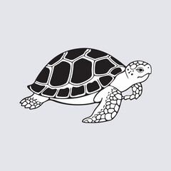 Turtle vector art Illustration file