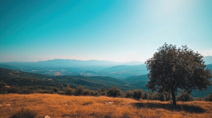 Obraz premium Mountain View with a Single Tree