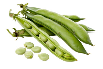 Fresh Fava Beans: A close-up, vibrant image of fresh fava beans, showcasing their vibrant green pods and plump, edible beans against a clean background. 