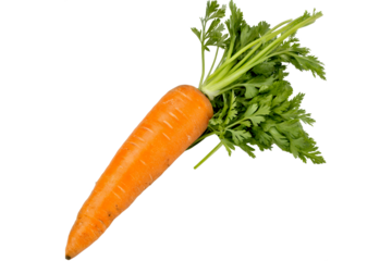 Vibrant Orange Carrot: A single, freshly picked carrot with its vibrant orange hue and lush green foliage, ready to add a healthy and colorful touch.