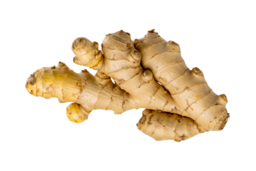Spice Rack Staple: A fresh, whole ginger root, showcasing its intricate, gnarled form and earthy tones. 