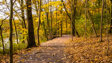 Obraz premium Beautiful autumn background with pathway through t