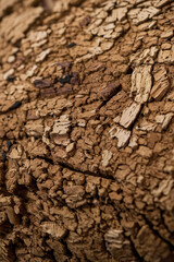 Obraz premium A high-resolution close-up of a natural Liège (cork) texture, showing intricate organic patterns with a warm beige and brown color palette. The surface has small cracks, porous details, and rough yet 
