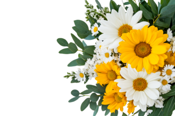 Bouquet of white and yellow daisies with eucalyptus, cut out transparent