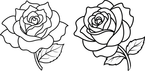 black and white rose