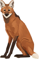 Obraz premium Maned Wolf (Chrysocyon brachyurus) – Vector art of the iconic red wolf of the South American savanna (Cerrado biome)