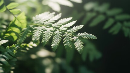 Lush fresh green Spring leaf