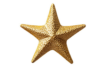 Golden textured starfish isolated against dark background, cut out transparent