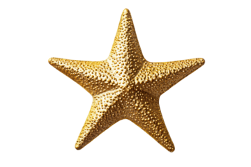 Golden textured starfish isolated against dark background, cut out transparent