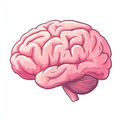Pink human brain illustration.