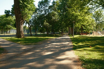 Cycling Trail Through Shaded Park Woods – Golden Hour Light, Peaceful Park and Empty Walking Trails
