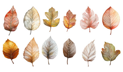 Fototapeta premium Watercolor illustration set of autumn leaves in warm earthy tones with intricate botanical details for seasonal designs