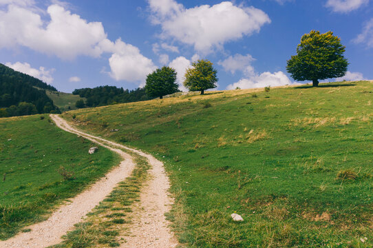 Countryside road
