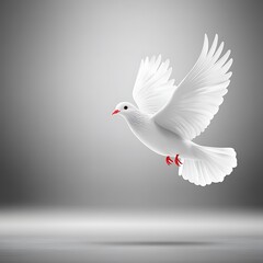 Obraz premium White Dove Soaring for Grey Background.