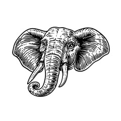 Obraz premium Elegant engraving of an elephant showcasing intricate details and vintage artistry for tattoo enthusiasts and design lovers
