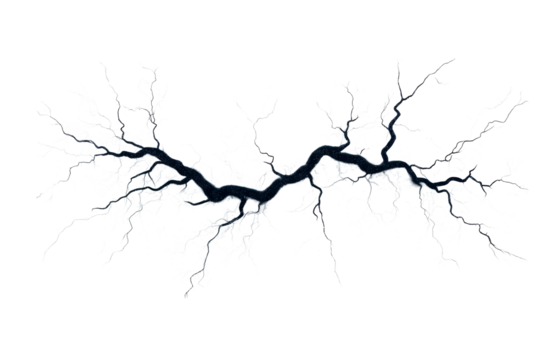 Crackle structure with many branches and split end, cut out transparent