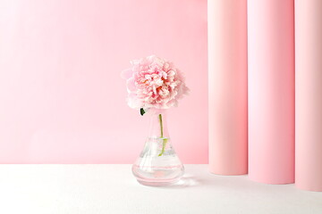 Abstract beautiful flower arrangement. Empty product podium and fresh peonies, elegant beauty concept,Stage for product display and business concept. Minimal modern aesthetic. selective focus
