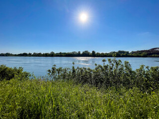Rhein bei Iffezheim, Rheinebene kurz vor Sonnenuntergang