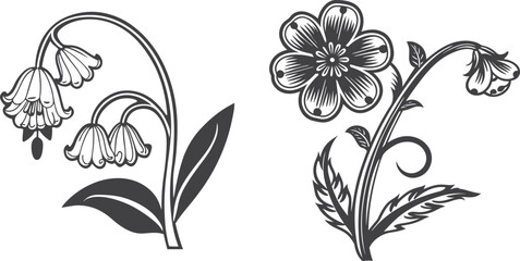 set of black and white flowers