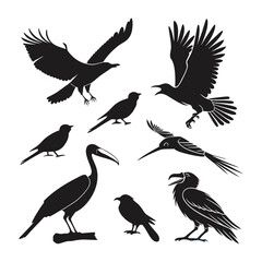 Bird silhouette bundle vector design