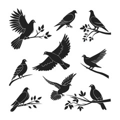 Obraz premium Bird silhouette bundle vector design