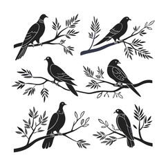 Obraz premium Bird silhouette bundle vector design